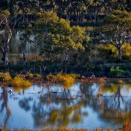 Riverview Rise Retreats Mannum Exterior foto