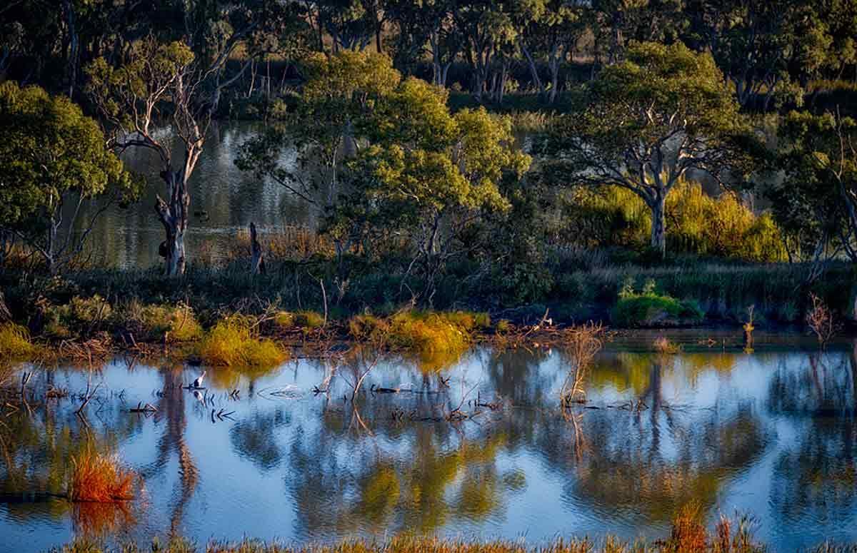 Riverview Rise Retreats Mannum Exterior foto