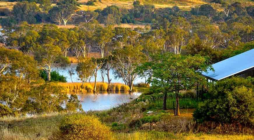 Riverview Rise Retreats Mannum Exterior foto