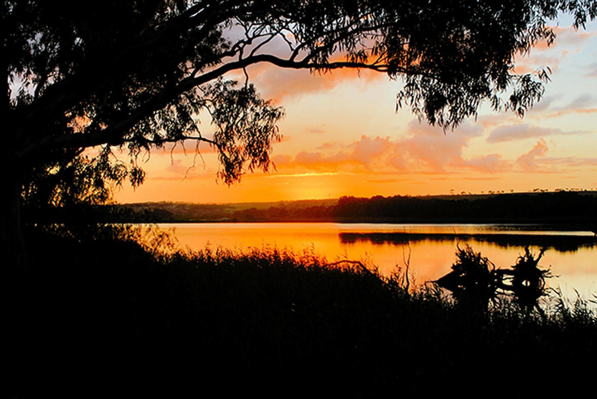 Riverview Rise Retreats Mannum Exterior foto
